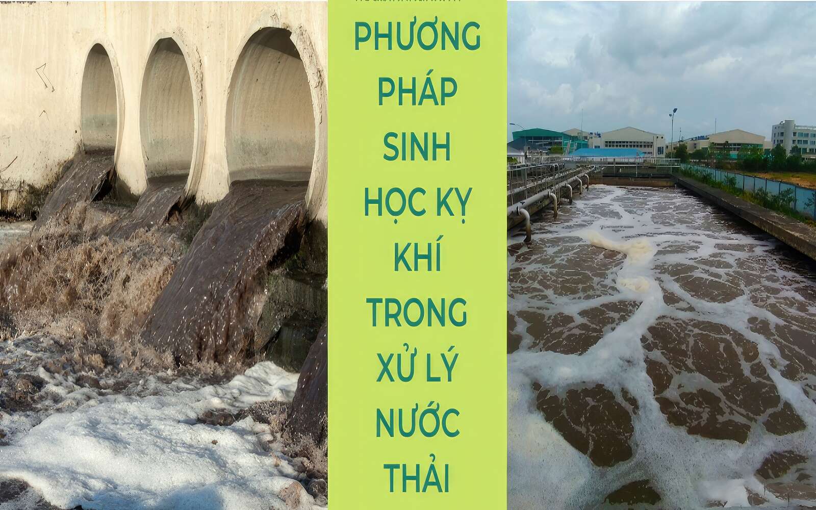 Tăng cường hiệu quả phân hủy kỵ khí của bùn thải từ trạm xử lý nước thải sinh hoạt đô thị bằng tiền xử lý với Kali hydroxyde