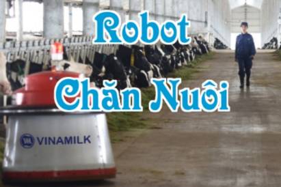 Robot Chăn Nuôi: Bước Tiến Khoa Học Trong Nông Nghiệp 4.0 Nâng Cao Phúc Lợi, Năng Suất Và Hiệu Quả Quản Lý Đàn